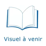 Les droits sociaux fondamentaux vignette