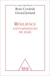 Résilience connaissances de base vignette