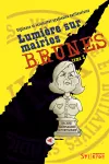 Lumière sur mairies brunes vignette