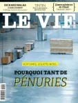 vignette