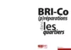 Bri-co vignette