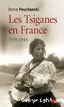 Les Tsiganes en france vignette